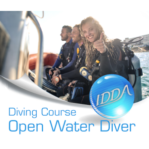 Tauchkurs Open Water Diver