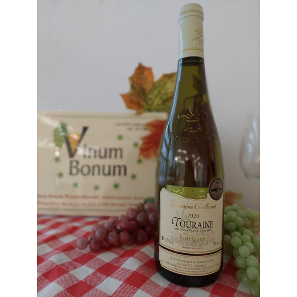 Domaine Bellevue – Tourraine, Sauvignon, AOP Loire