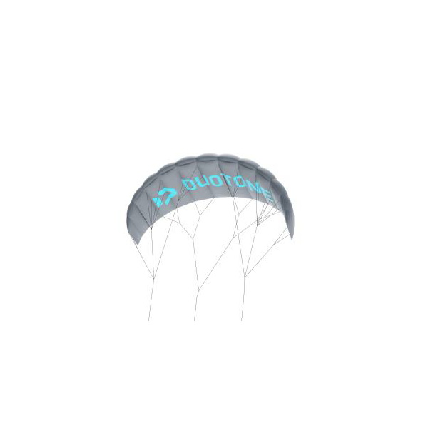 Duotone Kiteboarding Lizard Trainer Kite 2,5 grey 2025